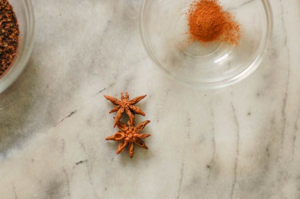 泰国冰茶冰棒。奶油红茶冰,带一丝香草和香料。从花到茎|因为美味www.andrewtoms.com无麸质素食