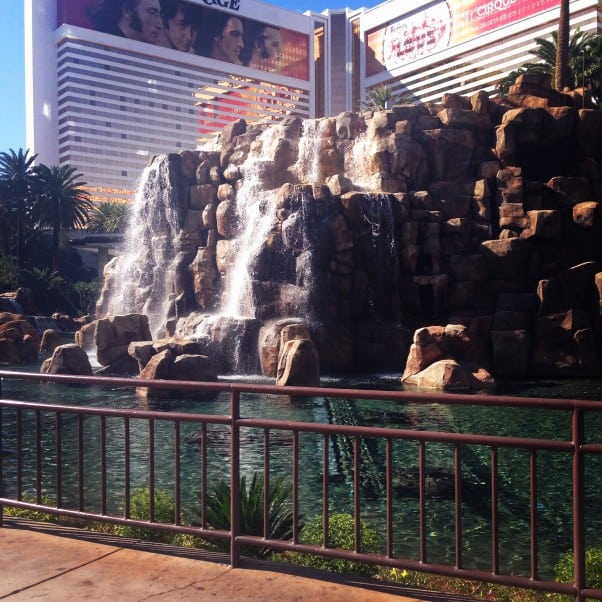 海市蜃楼,拉斯维加斯从盛开到茎|因为可口www.andrewtoms.com.