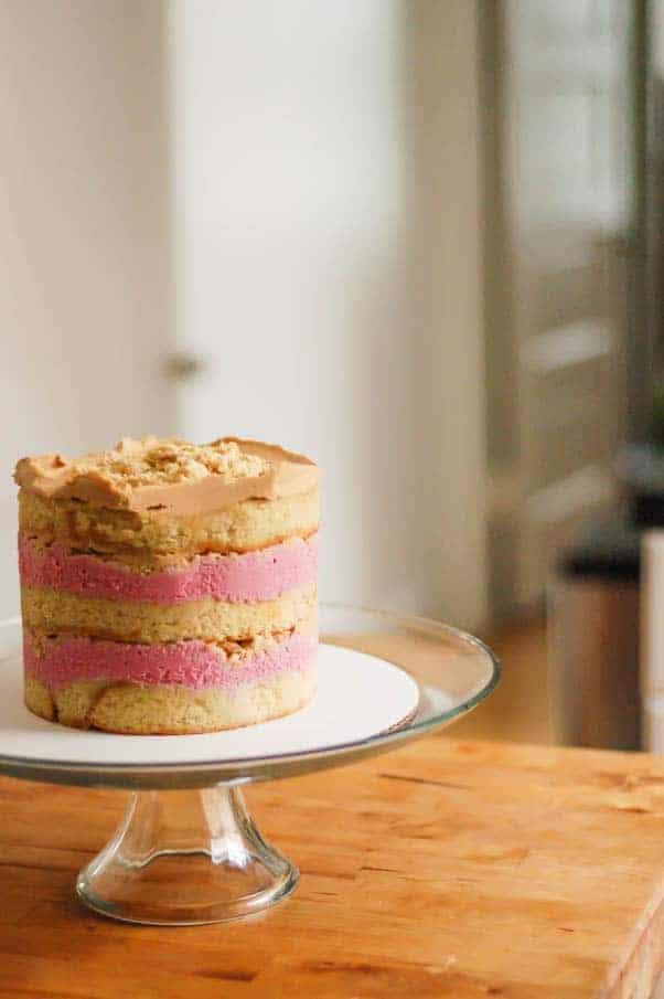 我的粉色大象:棕色黄油蛋糕与蔓越莓凝乳，橙色小豆蔻屑，比斯科夫糖霜(灵感来自桃福牛奶棒)从开花到茎|因为美味www.andrewtoms.com