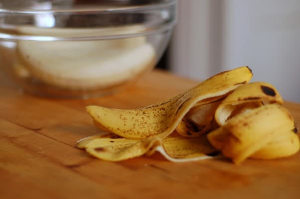 双层巧克力香蕉面包。本身就说明了这一点。从花到茎|因为美味www.andrewtoms.com