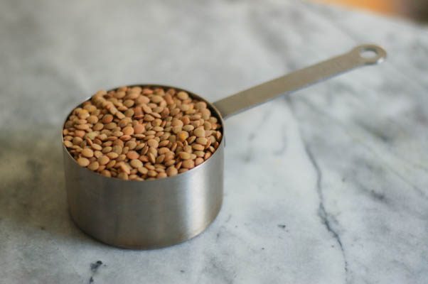 小扁豆芝麻菜沙拉配羊奶和红酒葱调味汁。这么好。从花到茎|因为美味www.flowertostem.net