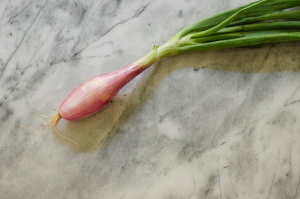 辣夏豆鹰嘴豆沙拉。脆而清淡的沙拉，用黄豆、青豆和鹰嘴豆拌入香醋汁。从花到茎|因为美味www.andrewtoms.com