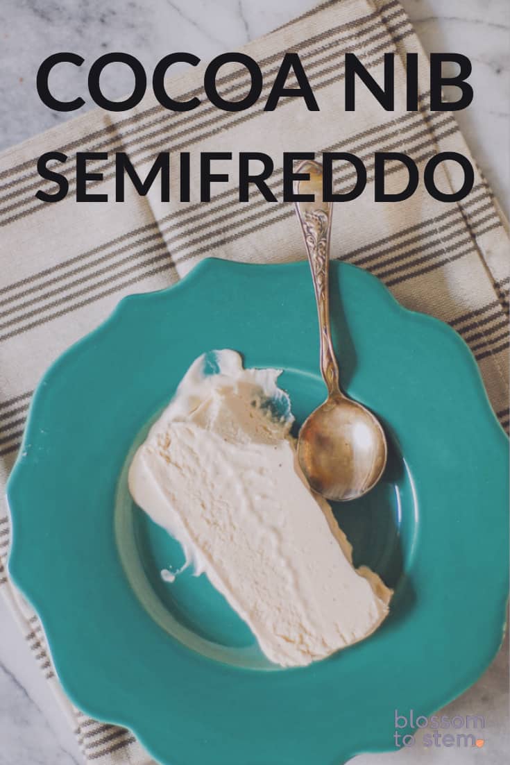 Cocoa nib semifreddo.