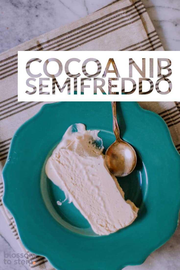 Cocoa nib semifreddo.