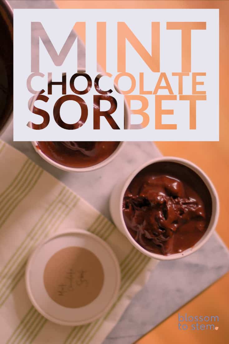 薄荷巧克力冰糕