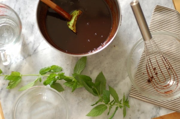 薄荷巧克力冰糕。一个强烈的富含巧克力和巧克力的冰糕，淡淡的花园薄荷味。从盛开到茎|因为可口www.andrewtoms.com.