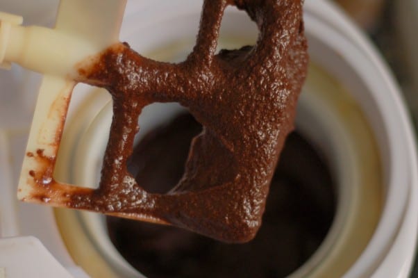 薄荷巧克力冰糕。一个强烈的富含巧克力和巧克力的冰糕，淡淡的花园薄荷味。从盛开到茎|因为可口www.andrewtoms.com.