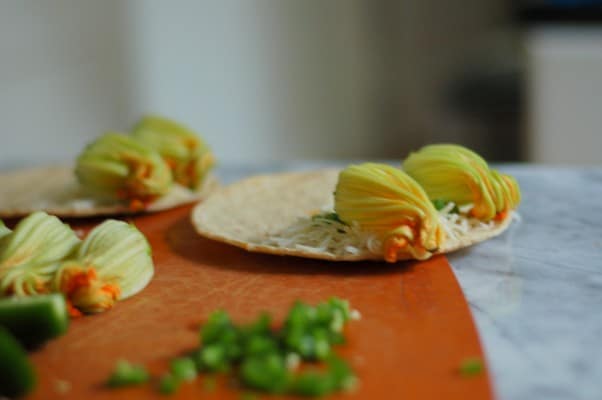 壁球开花quesadillas。寻找与南瓜开花有关的事情？无需填充或煎炸。从花到茎|因为美味www.andrewtoms.com