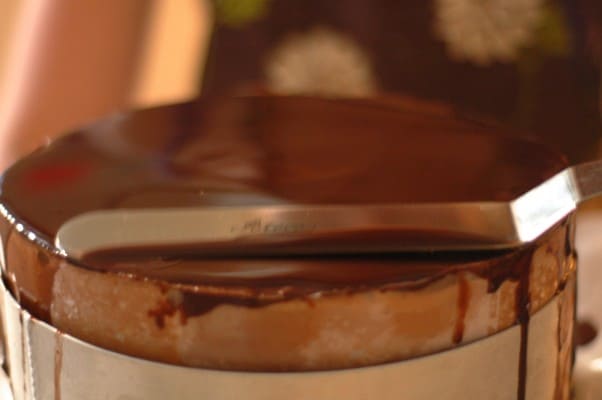 看巧克力蛋糕的13种方法。为特殊场合准备的引人注目的蛋糕。从花到茎|因为美味www.andrewtoms.com