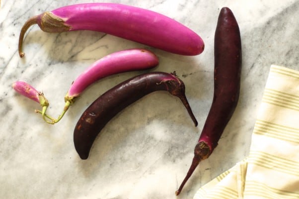 四川“鱼芳香”茄子与培根从盛开到茎|因为可口www.andrewtoms.com.