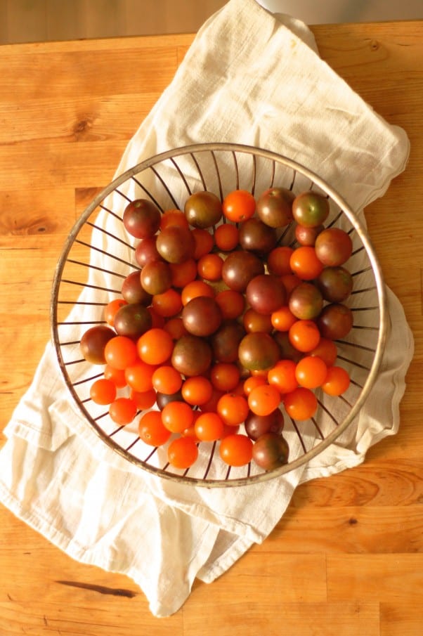 番茄，罗克斯弗和红洋葱沙拉。一只踢球，大味的沙拉来庆祝西红柿。从盛开到茎|因为美味的//www.andrewtoms.com.