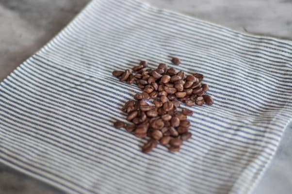 奶油糖果酥饼。精致的奶油咖啡味，覆盖着浓郁的奶油糖果釉。一个简单优雅的假期饼干。从花到茎|因为美味www.andrewtoms.com