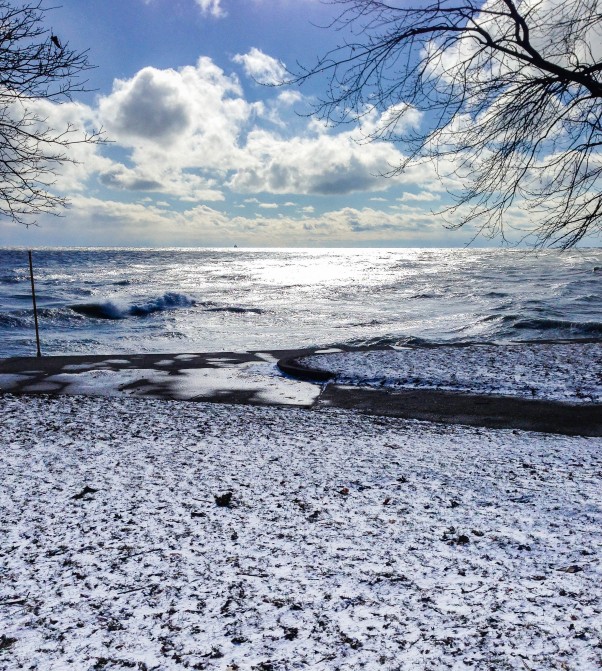 来自福斯特海滩的密歇根湖在芝加哥，2015年3月从开花到词根|因为可口www.andrewtoms.com.