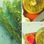 野生大蒜芥菜蔬菜有该怎么办？制作大蒜芥末chimichurri。从花到茎|因为美味www.andrewtoms.com