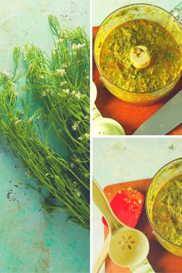 如何处理野生大蒜芥菜?做大蒜芥末辣酱。从花到茎|因为美味www.andrewtoms.com