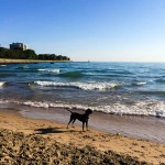 在海滩上。丹·布沙摄。