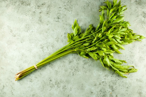 喜欢冰淇淋。冰凉片，带有芹菜，欧芹，石灰和几乎薄荷的新鲜的冰淇淋。从盛开到茎|因为可口www.andrewtoms.com.