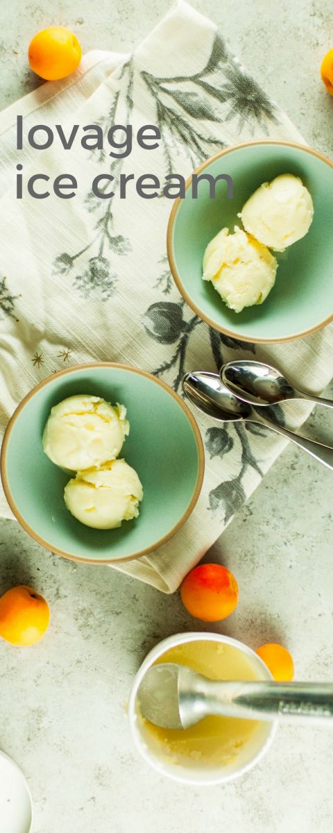 喜欢冰淇淋。从盛开到茎|www.andrewtoms.com.