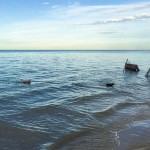 密歇根湖，福斯特海滩，芝加哥。2015年9月。从盛开到词根|www.andrewtoms.com.