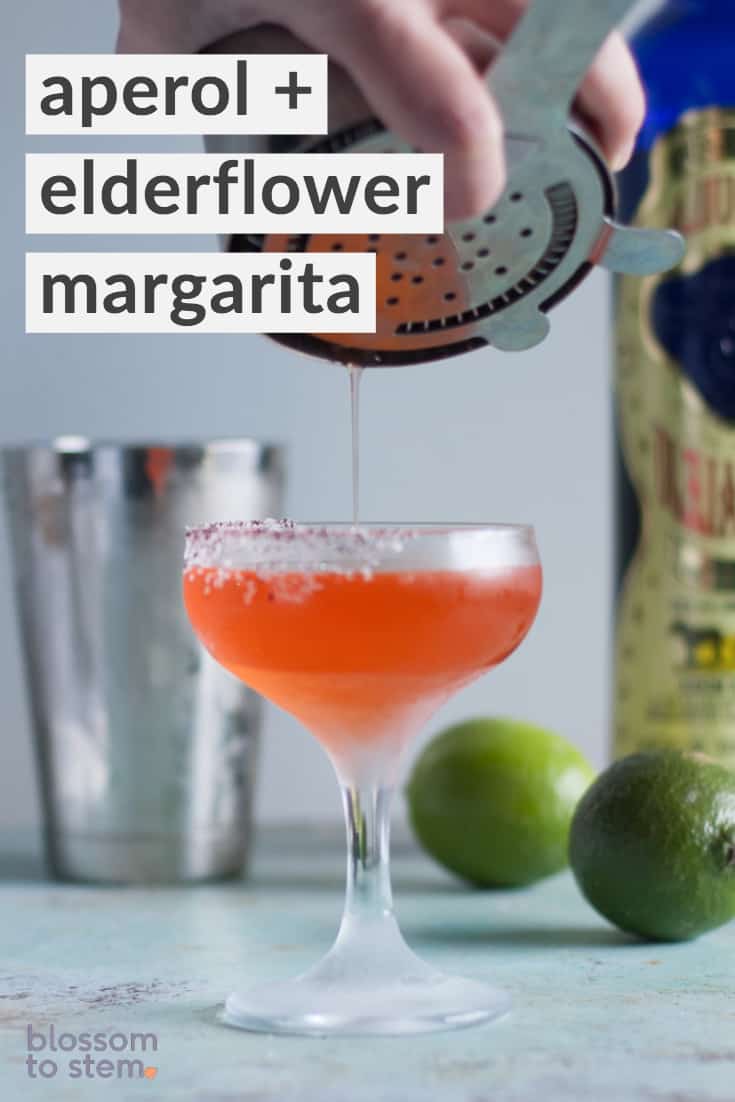 Aperol +接骨木花Margarita