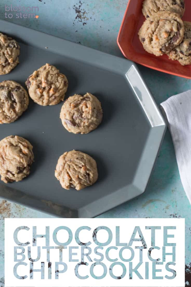 巧克力奶油糖果饼干