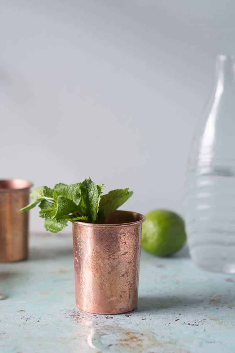 Mezcal Mule. A variation on the Moscow Mule with smoky mezcal, ginger ale, and lime. A simple, refreshing cocktail for fans of mezcal. From Blossom to Stem | Because Delicious | www.andrewtoms.com