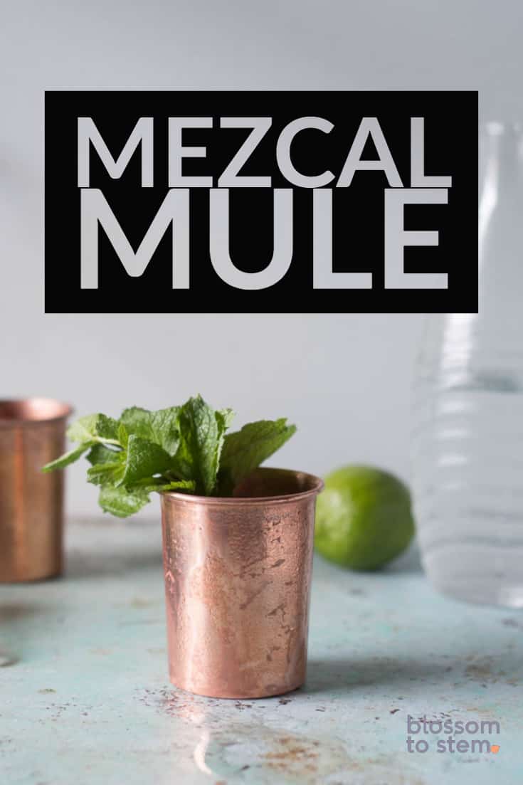 Mezcal骡