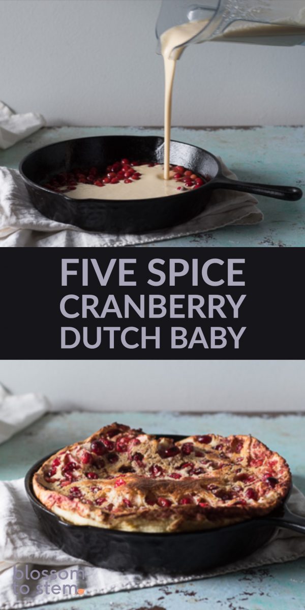 五个香料蔓越莓荷兰婴儿