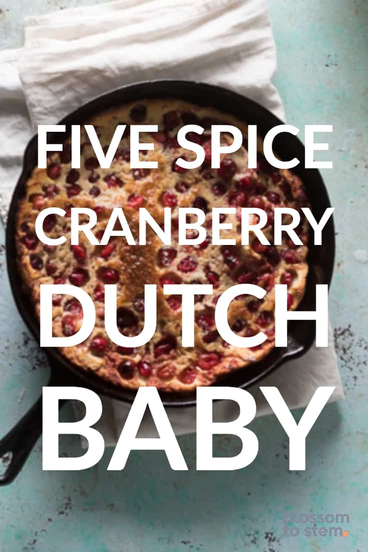 五个香料蔓越莓荷兰婴儿