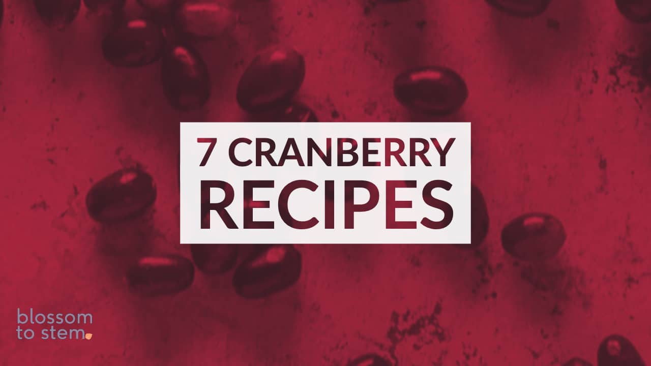 7个蔓越莓食谱