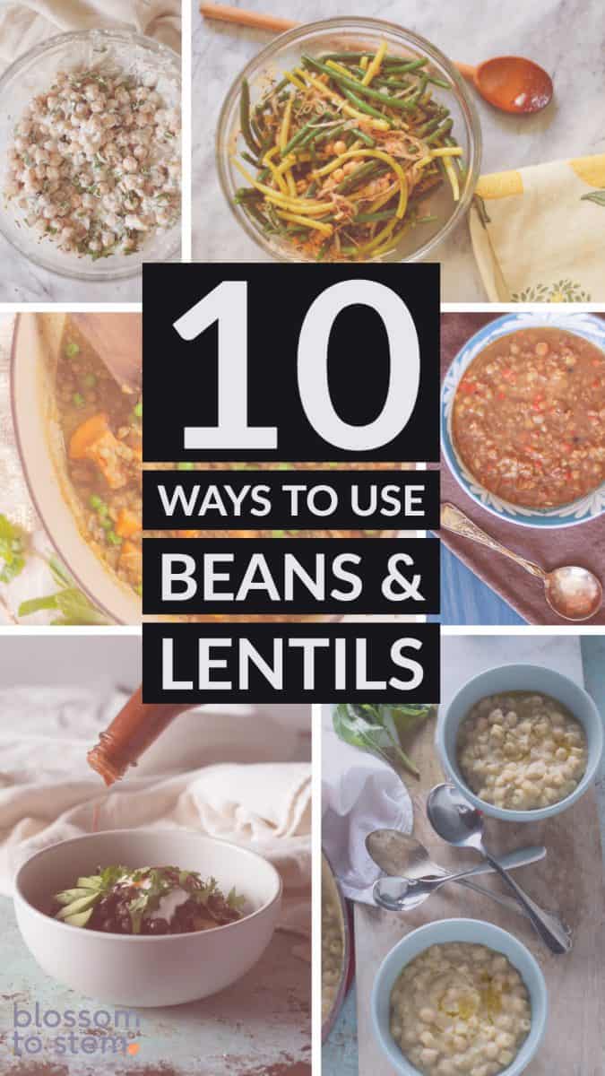 使用豆类和扁豆的10种方法